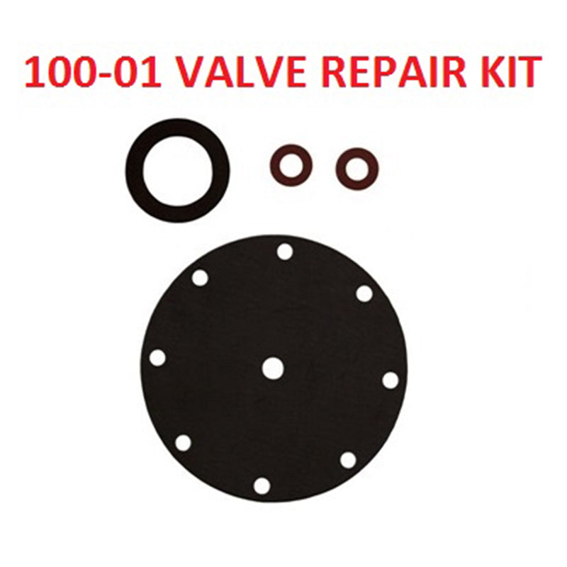 CLAVAL | 100-01 VALVE RUBBER KIT, 150#, 4" | 9169813E