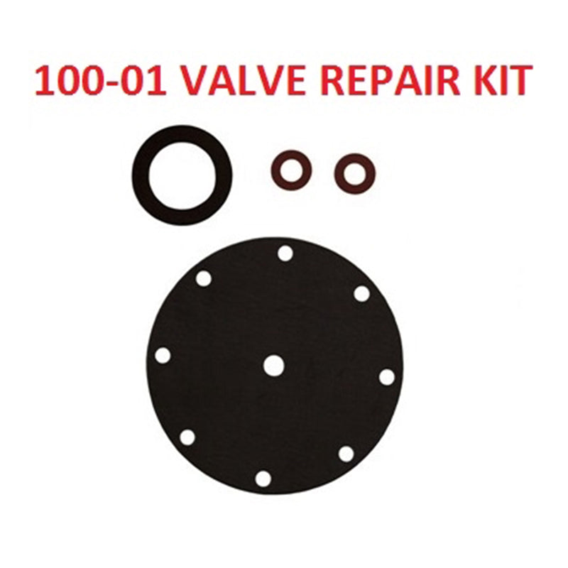 CLAVAL | 100-01 VALVE REPAIR KIT, 150#, 12" | 9817903K