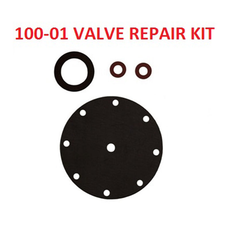 CLAVAL | 100-01 VALVE REPAIR KIT, 150# | 3/8" | 9169801K